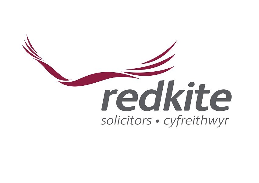logo DavidSnape